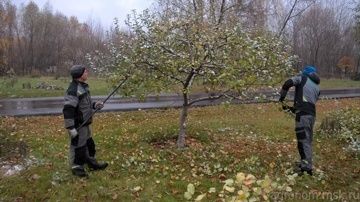 Садовник обрезка спилить деревьев уборка и уход. Богбон хизматлари.