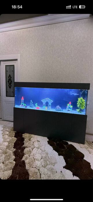 Akvarium yasimiza zakasga