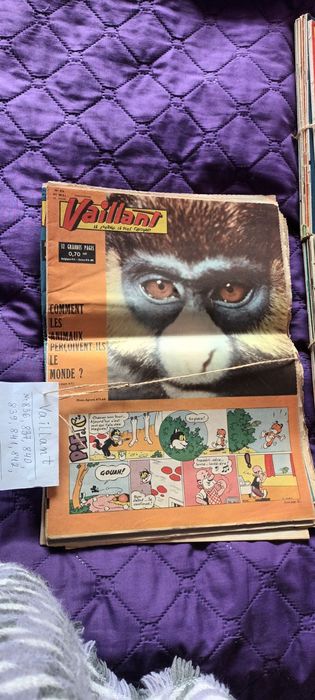 Vaillant за колекционери 31 бр