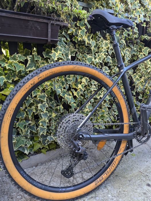 Radon Jealous Al. 2021 M