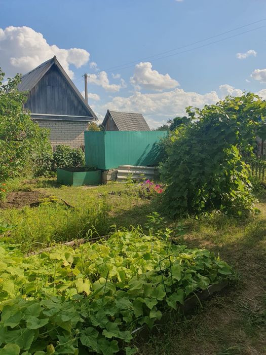 Дачный участок в Костанае