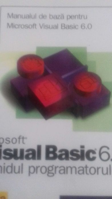 Microsoft Visual Basic 6.0