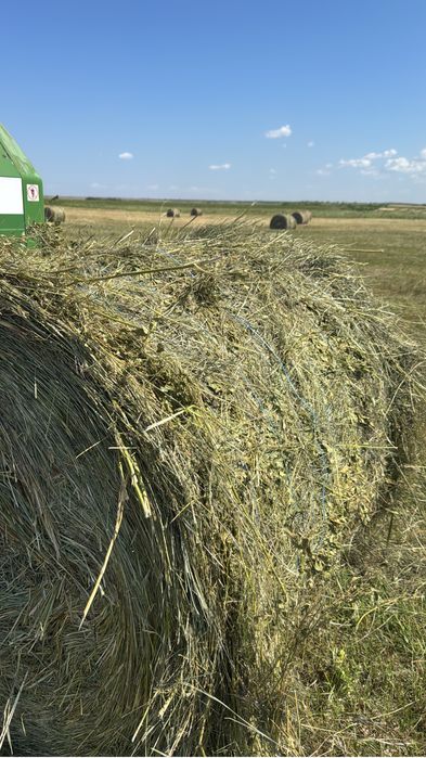 Продам сено луговое в рулонах