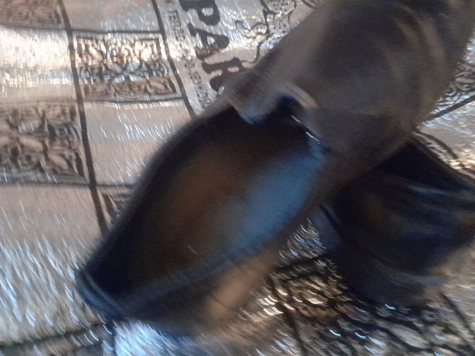 RETRO TUFLI 32-33 razmer yoki aksesuar faqat charimdan