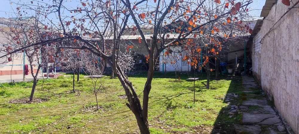 Земля 4 соток Бектемирский РОВД