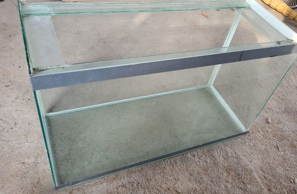 аквариум для рыбы