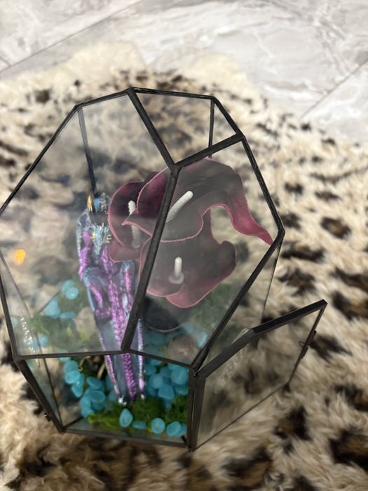 Terariu din sticlă handmade pentru orchid mantis , păianjeni, insecte exotice, gecko, reptile mici – ușă frontală, ventilație, stare excelentă iasi