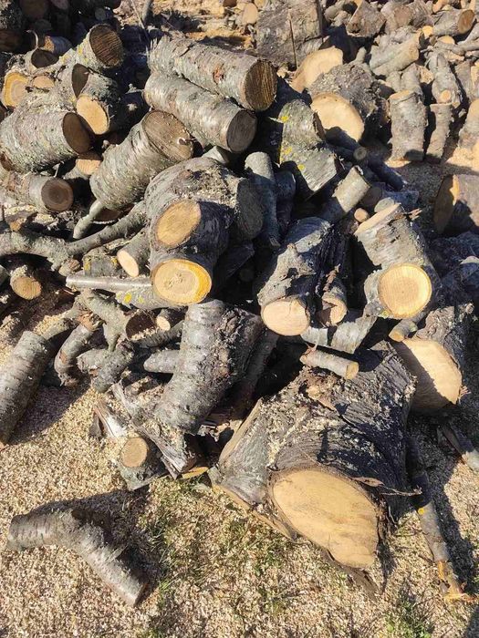 Дърва за огрев -безплатен траспорт