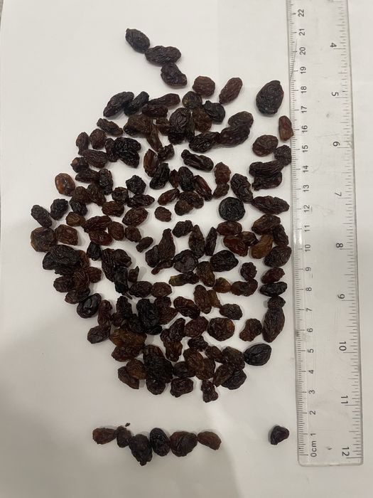 Изюм афганский высший сорт