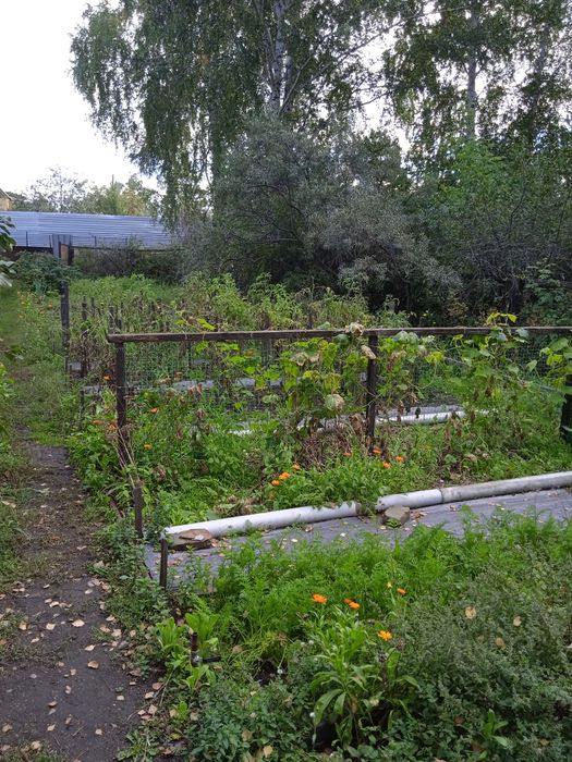 Продам дачу в обществе "Садовод"