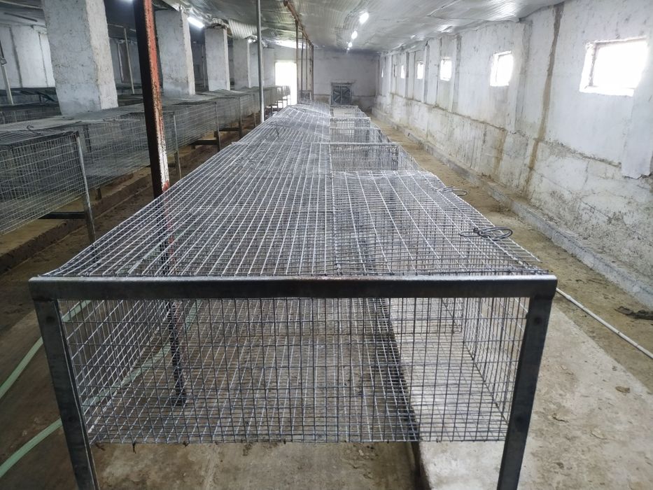 Клетка для кроликов