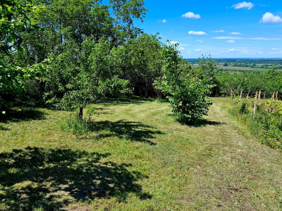 Продава се Къща в с. Остров, Област Враца - 120 кв.м за 309 €/кв.м - Снимка #8