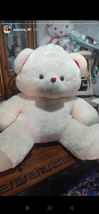 Teddy ayiq koʻrkam koʻrinish