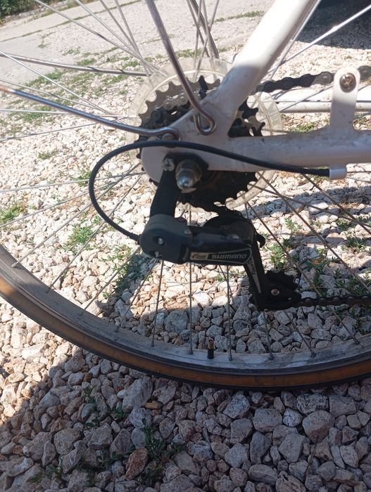 Bicicleta Pegas popular