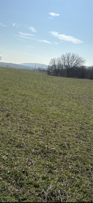 Продава се Парцел в с. Богомилово, Област Стара Загора - 1878 кв.м за 19 €/кв.м - Снимка #5