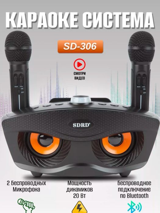 Беспроводная караоке система SDRD SD-306
