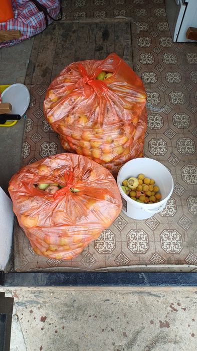Ранетки отдам даром