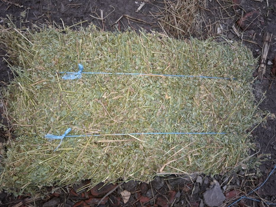 Vând baloti de lucernă și iarbă