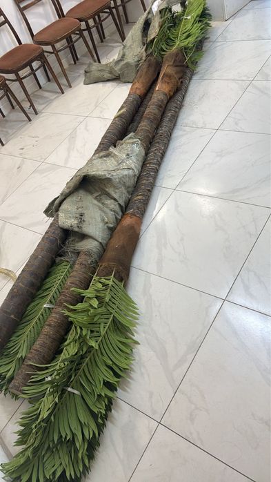 Искуственная пальма