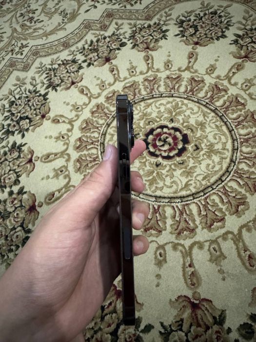iphone 13 pro max ideal