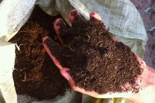 Биогумус Biogumus