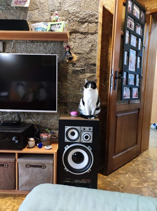 Тонколони Амфитон 50АС-022