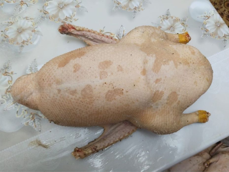 Үйрек, қаз еттері бар