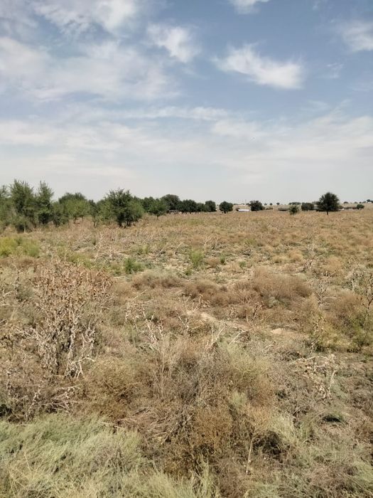 Участок 8 гектаров