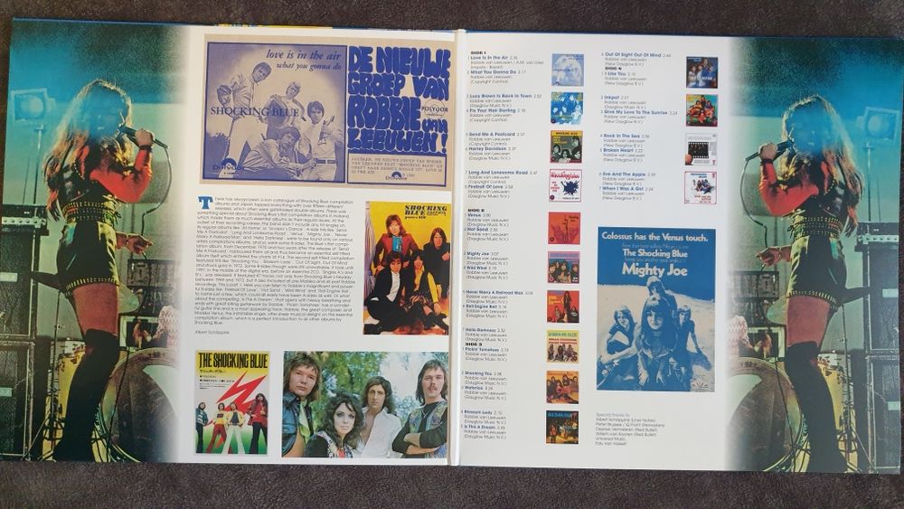 Виниловая пластинка