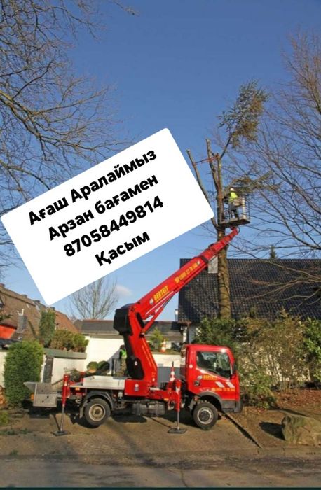 Ағаш Аралаймыз Арзан Бағамен
