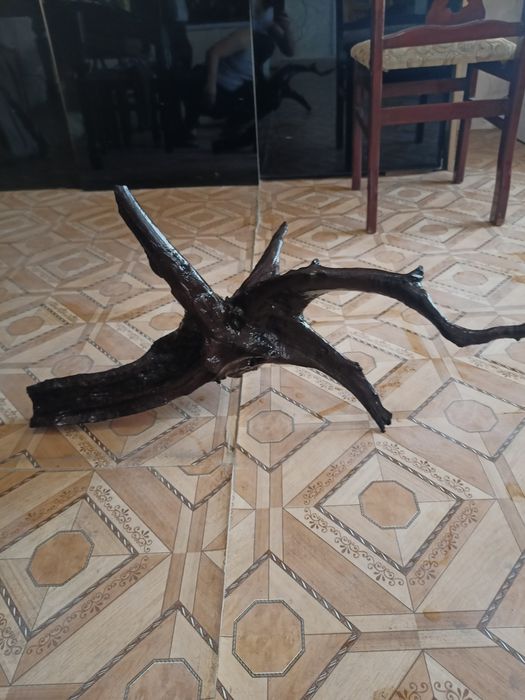 Мангра Карягала сотилади