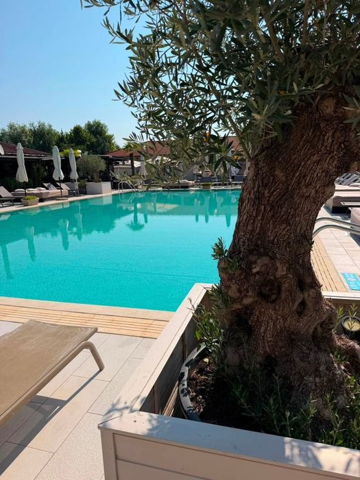 Vand afacere la cheie in Domnesti,Ilfov