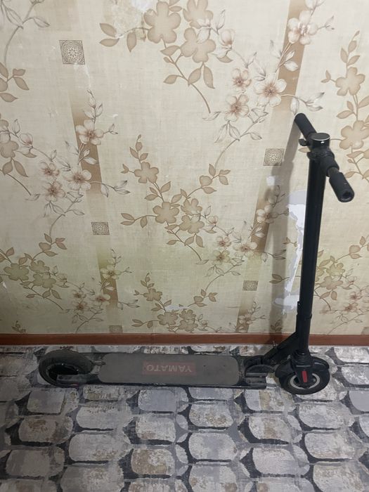 Электра  самакат