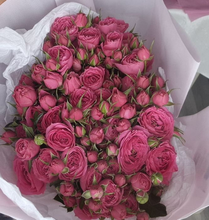 Цветы продам свежие