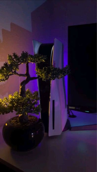 Аренда Playstation 5 ps 5 ps прокат