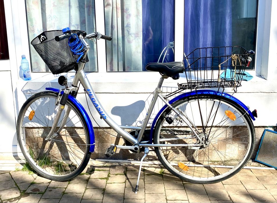 Bicicleta de dama
