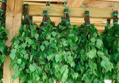 Веники  в баню / сауну