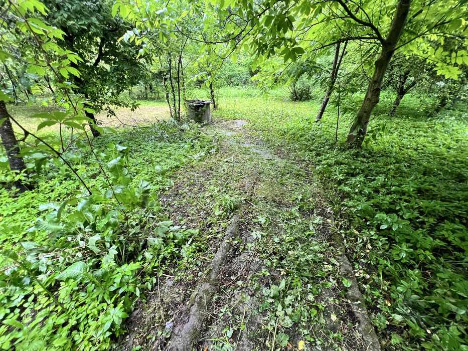 Teren si casa Provita de Jos