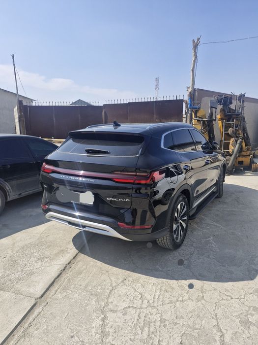 BYD chempion gibrid.