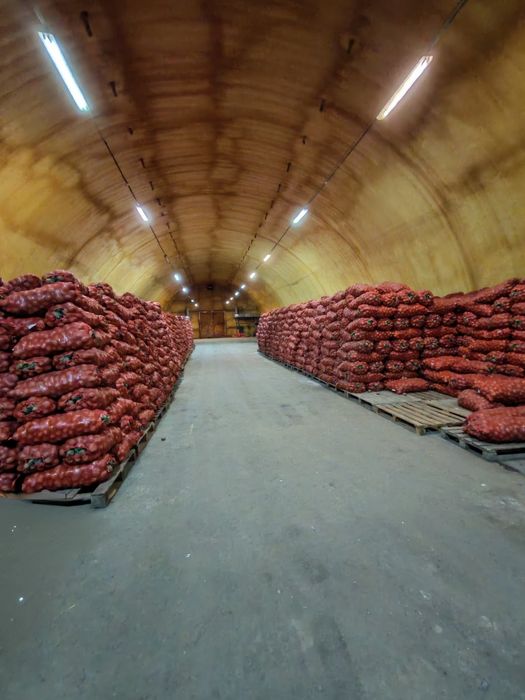 Картошка одборны