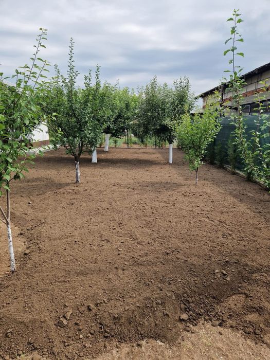 Vand mranita pt gradina in cantitati industiale  macerat , fara miros