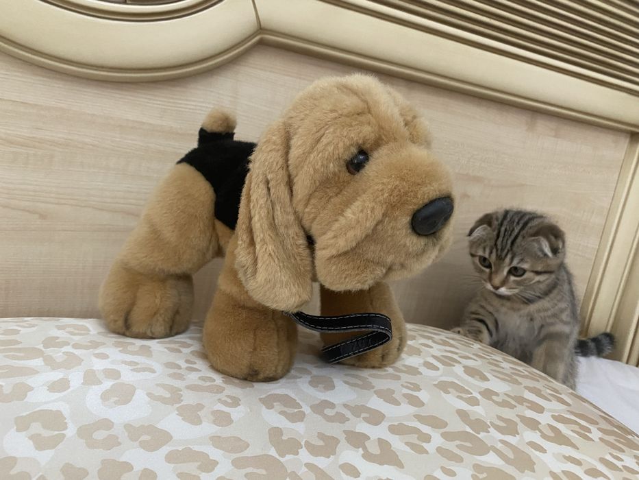 Мягкая игрушка