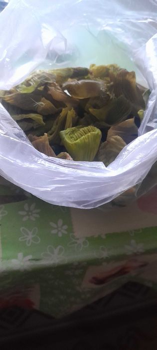 Пупки плёнки желудка