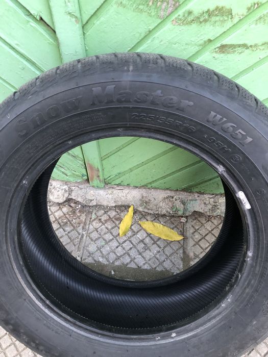 Зимни гуми Petlas Snowmaster W651 225/55/16