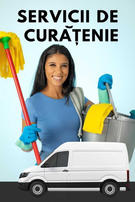 servicii profesionale de curatenie