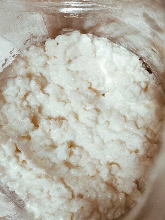 vand chefir de lapte si de apa