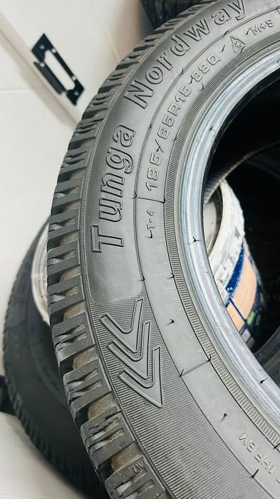 Балон зимний . Шиповный