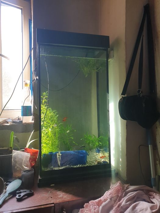 Продам аквариум 150 литров 50000 тг.