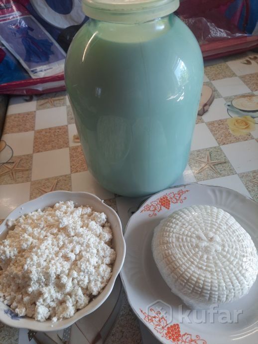 Козье молоко сыр брынза домашнее
