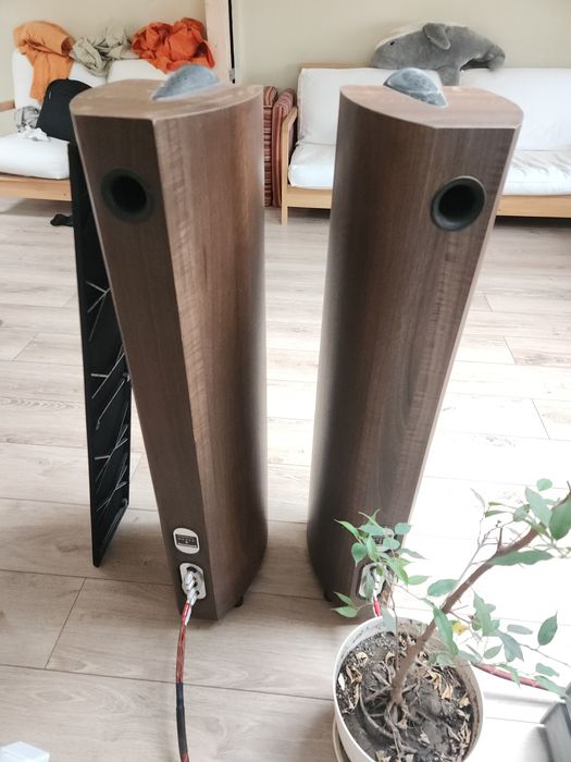 Boxe Mordaunt Short Mezzo 6